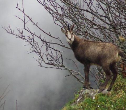 Aux Jardins D'Argiles Διαμέρισμα Buhl Εξωτερικό φωτογραφία